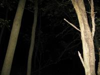 Chicago Ghost Hunters Group investigates Robinson Woods (121).JPG